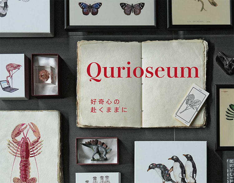 20250919_G1_Qurioseum_0.png